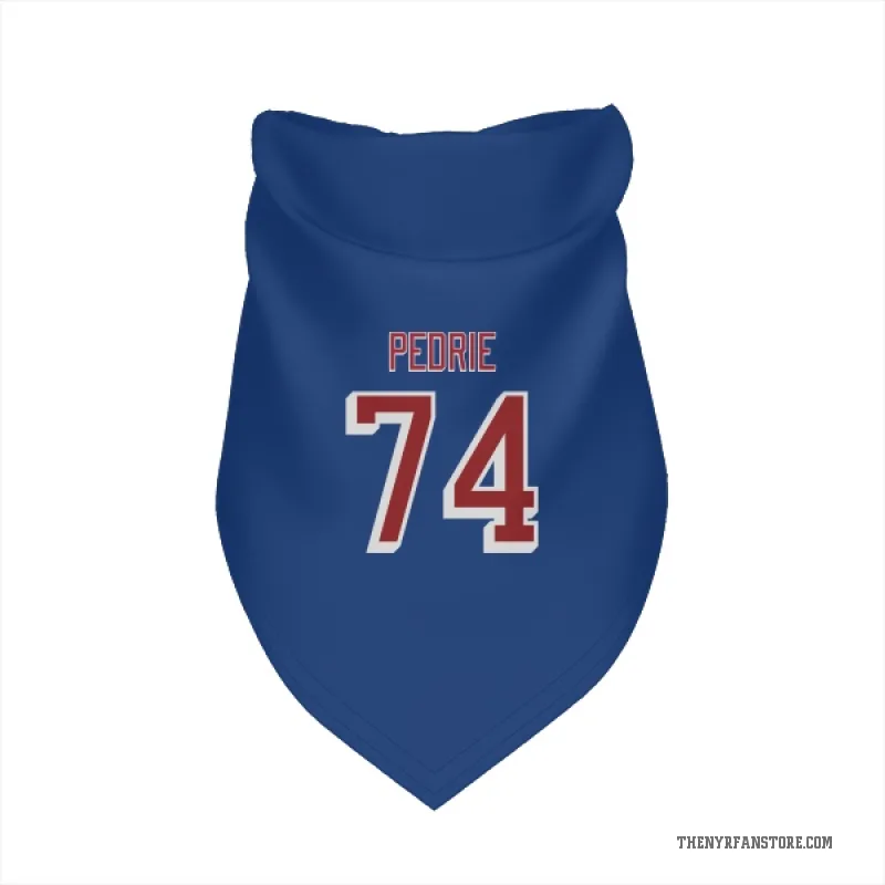 Vince Pedrie  Blue New York Rangers  Cat & Dog Pet Bandana